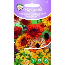 Harilik saialill Flame Beauty Calendula officinalis L