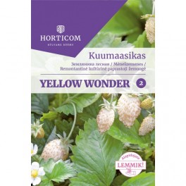 Kuumaasikas Yellow Wonder 50 seemet 2