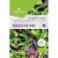 Salatite segu Mesclun BIO 2g 2