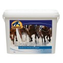 Savi Ice Clay 4kg