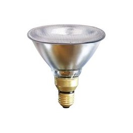 Soojenduslamp 100W 40V läbipaistev