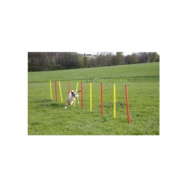 Lemmiklooma Agility komplekt kollane/punane