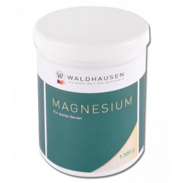 Söödalisand hobustele Magnesium Forte 1kg