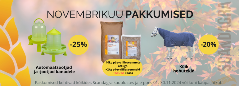 novembri kampaania